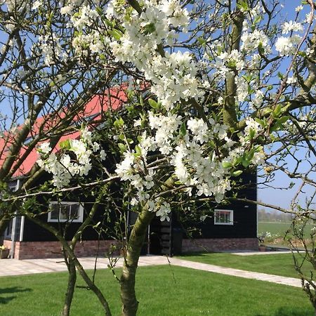 Appartamento Hofwestdijk Vrouwenpolder Esterno foto