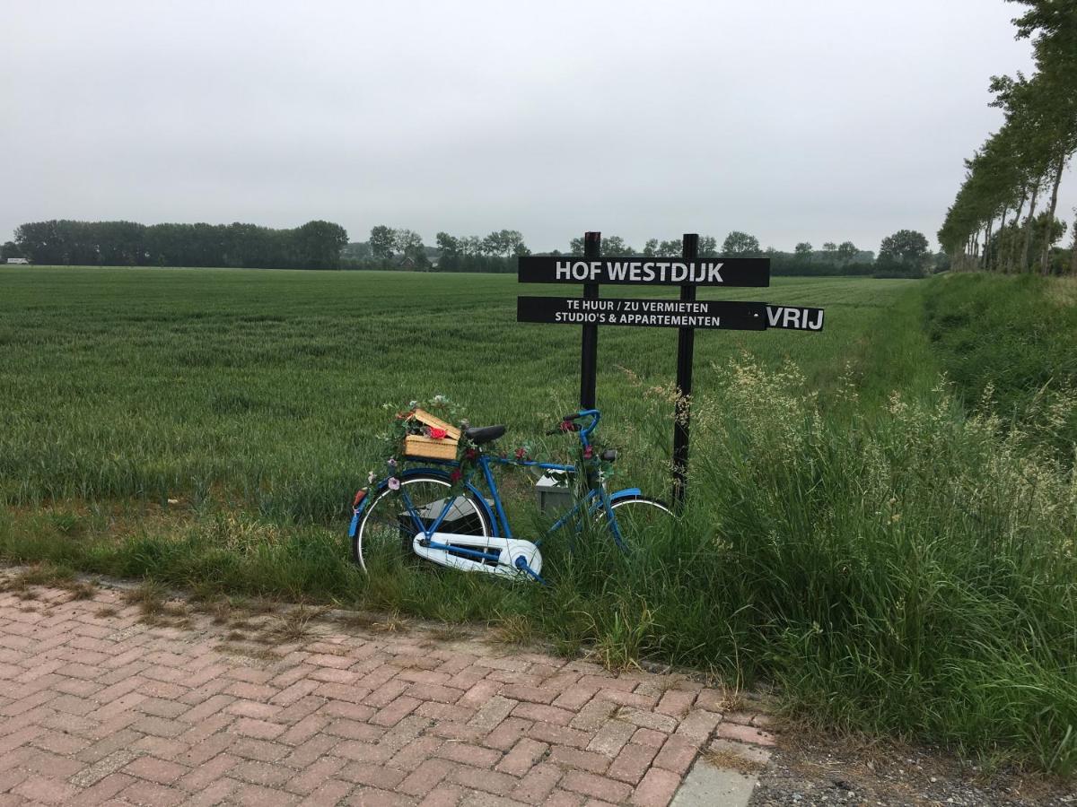 Appartamento Hofwestdijk Vrouwenpolder Esterno foto